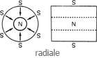 radiale